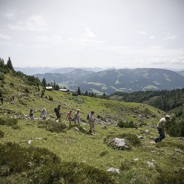 Exklusives Jagdrevier