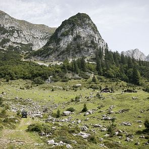 Gut begehbare Steige laden zum Erkunden ein