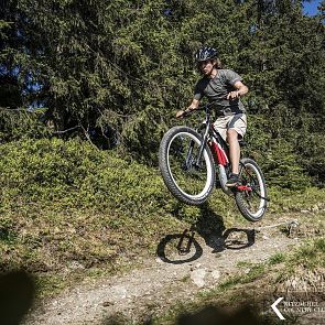 Wunderschöne Alm- und Forststrecken