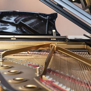 Einzigartiger Musikgenuss in edelstem Ambiente